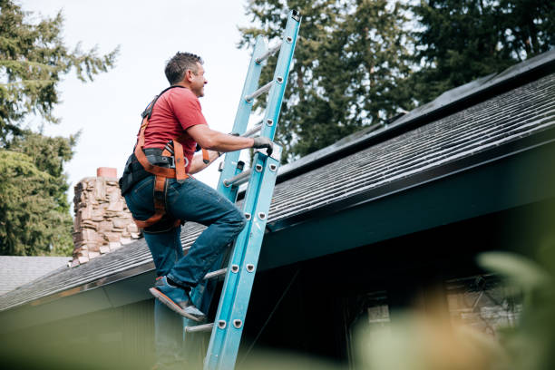 Best Gutter Installation and Repair  in Roseto, PA